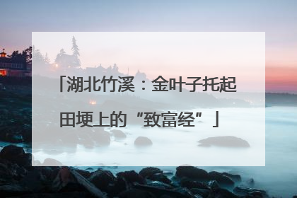 湖北竹溪：金叶子托起田埂上的“致富经”