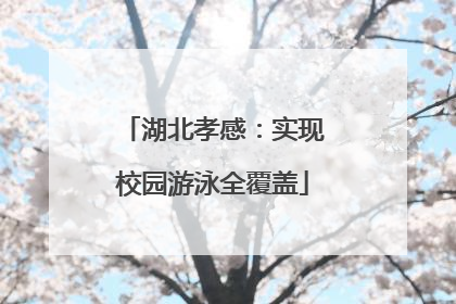 湖北孝感：实现校园游泳全覆盖