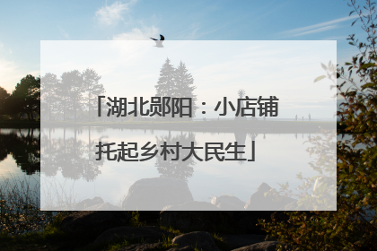 湖北郧阳：小店铺托起乡村大民生