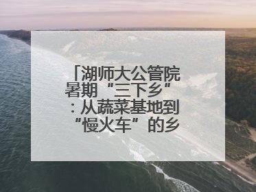 湖师大公管院暑期“三下乡”：从蔬菜基地到“慢火车”的乡村振兴实践