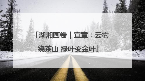 湖湘画卷｜宜章：云雾绕茶山 绿叶变金叶
