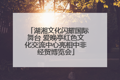 湖湘文化闪耀国际舞台 爱晚亭红色文化交流中心亮相中非经贸博览会