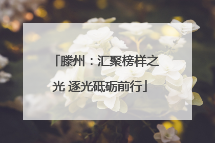 滕州：汇聚榜样之光 逐光砥砺前行