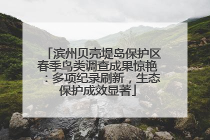 滨州贝壳堤岛保护区春季鸟类调查成果惊艳：多项纪录刷新，生态保护成效显著