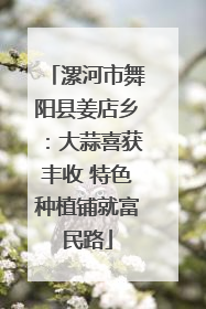 漯河市舞阳县姜店乡：大蒜喜获丰收 特色种植铺就富民路