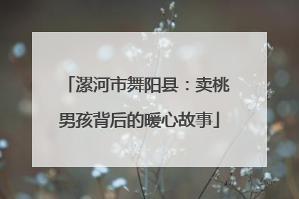 漯河市舞阳县：卖桃男孩背后的暖心故事