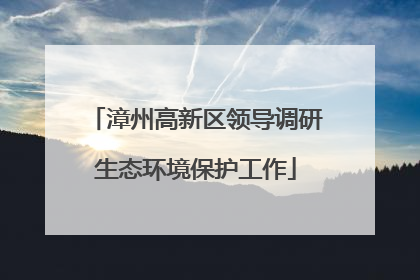 漳州高新区领导调研生态环境保护工作