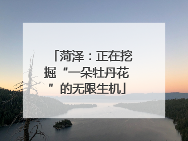 菏泽：正在挖掘“一朵牡丹花”的无限生机