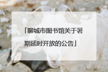 聊城市图书馆关于暑期延时开放的公告
