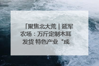 聚焦北大荒｜延军农场：万斤定制木耳发货 特色产业“成绩单”亮眼