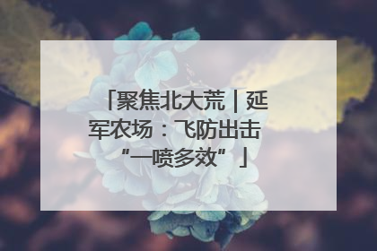 聚焦北大荒｜延军农场：飞防出击 “一喷多效”