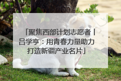 聚焦西部计划志愿者丨吕学亨：用青春力量助力打造新疆产业名片