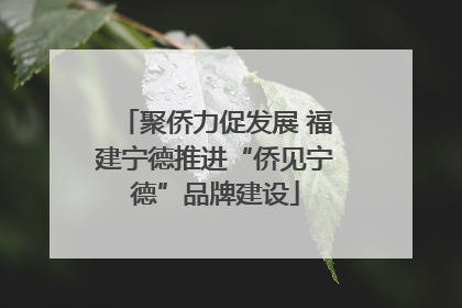 聚侨力促发展 福建宁德推进“侨见宁德”品牌建设