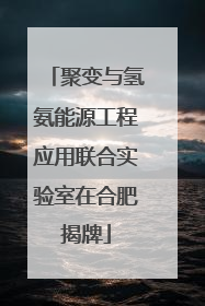 聚变与氢氨能源工程应用联合实验室在合肥揭牌