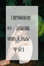 肥城南栾村：清淤疏堵防大汛保平安