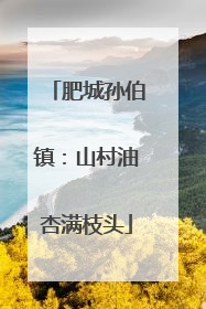肥城孙伯镇：山村油杏满枝头