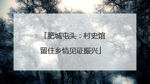 肥城屯头：村史馆留住乡情见证振兴