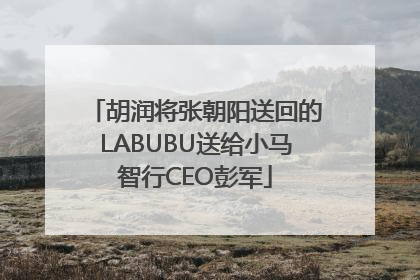 胡润将张朝阳送回的LABUBU送给小马智行CEO彭军