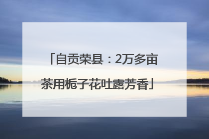 自贡荣县：2万多亩茶用栀子花吐露芳香