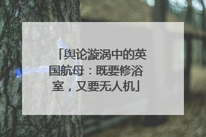 舆论漩涡中的英国航母：既要修浴室，又要无人机