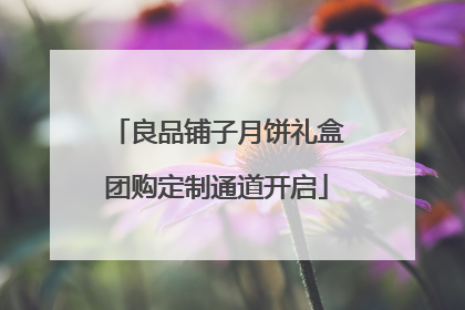 良品铺子月饼礼盒团购定制通道开启