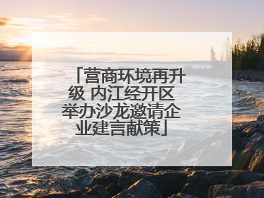 营商环境再升级 内江经开区举办沙龙邀请企业建言献策