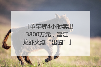 董宇辉4小时卖出3800万元，潜江龙虾火爆“出圈”