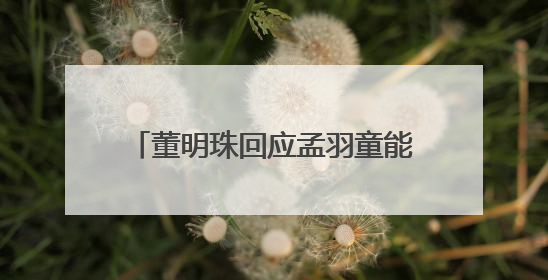 董明珠回应孟羽童能否再回格力，称其离开时确实是犯了很大的错：她对我来说是孩子