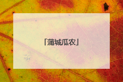 蒲城瓜农