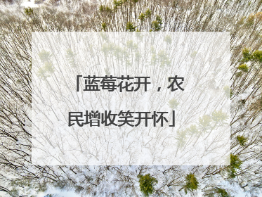 蓝莓花开，农民增收笑开怀