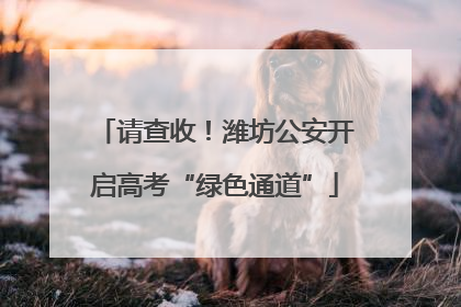 请查收！潍坊公安开启高考“绿色通道”