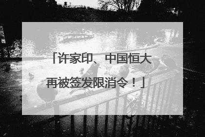 许家印、中国恒大再被签发限消令！