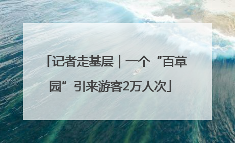 记者走基层｜一个“百草园”引来游客2万人次