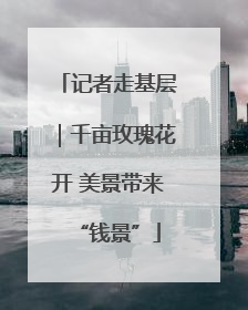 记者走基层｜千亩玫瑰花开 美景带来“钱景”