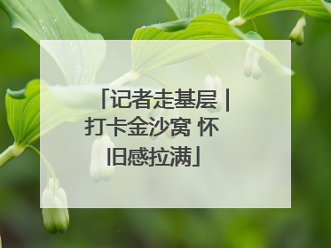记者走基层｜打卡金沙窝 怀旧感拉满