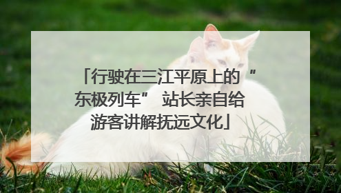 行驶在三江平原上的“东极列车” 站长亲自给游客讲解抚远文化