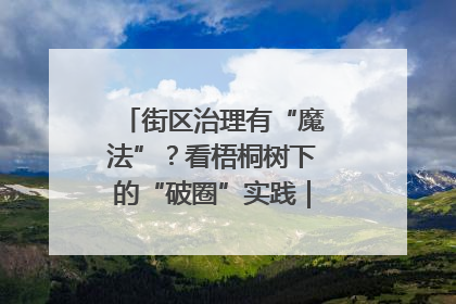 街区治理有“魔法”？看梧桐树下的“破圈”实践｜我在街区当书记