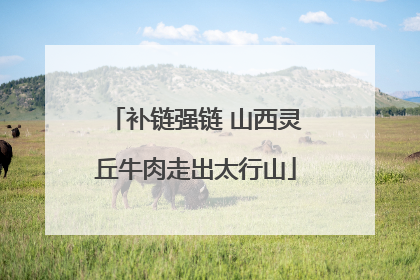补链强链 山西灵丘牛肉走出太行山