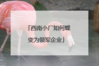 西南小厂如何蝶变为领军企业