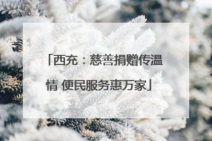 西充：慈善捐赠传温情 便民服务惠万家