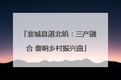 襄城县湛北镇：三产融合 奏响乡村振兴曲