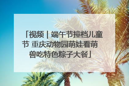 视频｜端午节撞档儿童节 重庆动物园萌娃看萌兽吃特色粽子大餐