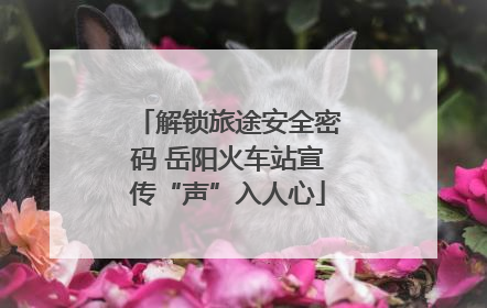 解锁旅途安全密码 岳阳火车站宣传“声”入人心