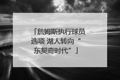 詹姆斯执行球员选项 湖人转向“东契奇时代”