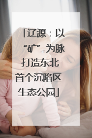 辽源：以“矿”为脉 打造东北首个沉陷区生态公园