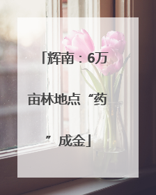 辉南：6万亩林地点“药”成金
