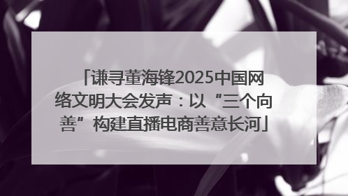 谦寻董海锋2025中国网络文明大会发声：以“三个向善”构建直播电商善意长河