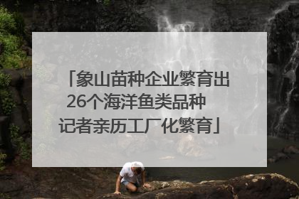 象山苗种企业繁育出26个海洋鱼类品种 记者亲历工厂化繁育
