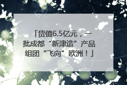 货值6.5亿元，一批成都“新津造”产品组团“飞向”欧洲！