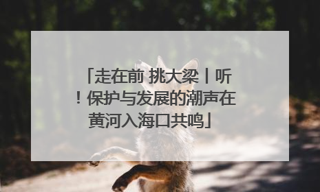 走在前 挑大梁丨听！保护与发展的潮声在黄河入海口共鸣